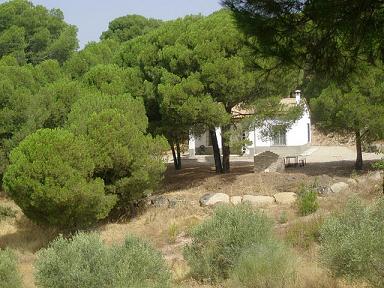 Casa rural Viña el Alamillo Andujar